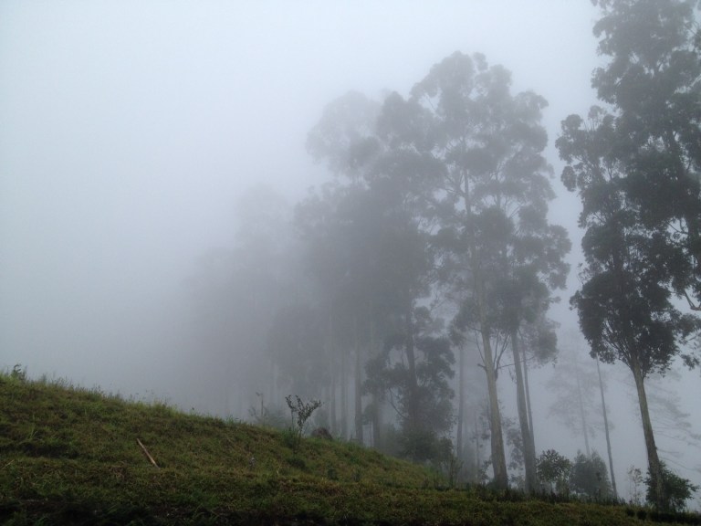 Kabut jam 12 siang. Motret pun sambil kedinginan :)